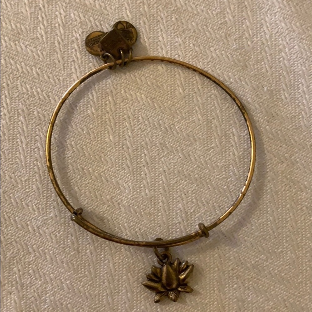 Alex and Ani bracelet